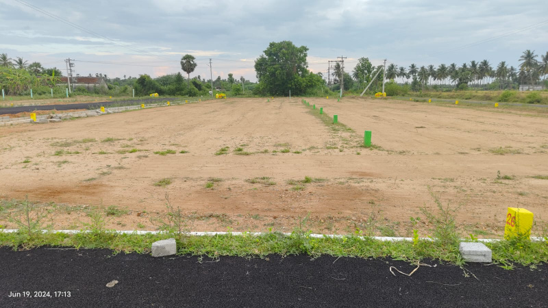  Residential Plot 1200 Sq.ft. for Sale in Kilpennathur, Tiruvannamalai