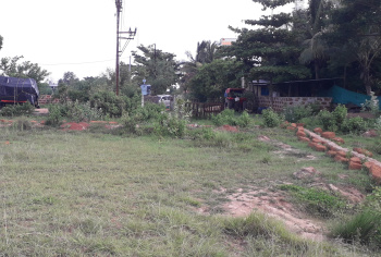  Agricultural Land for Sale in Pandiapada, Bhubaneswar