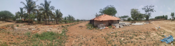  Agricultural Land for Sale in Anagodu, Davanagere