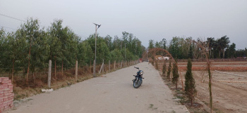  Agricultural Land for Sale in Ganeshpur, Dehradun
