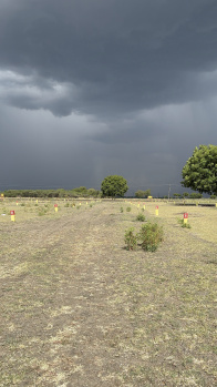  Residential Plot for Sale in Thirumangalam, Madurai