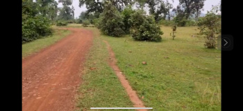  Agricultural Land for Sale in Sipat, Bilaspur