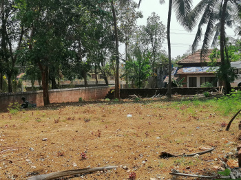  Residential Plot for Sale in Thalassery, Kannur