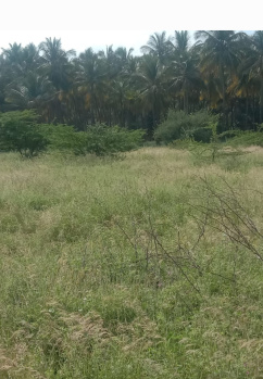  Residential Plot for Sale in PTR Colony, Uthamapalayam, Theni