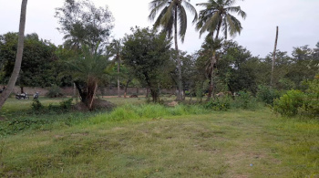 Agricultural Land for Sale in Diamond Harbour, South 24 Parganas