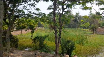  Agricultural Land for Sale in Diamond Harbour, South 24 Parganas