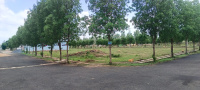 Residential Plot for Sale in YSR Nagar, Vizianagaram