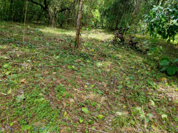  Residential Plot for Sale in Payyannur, Kannur