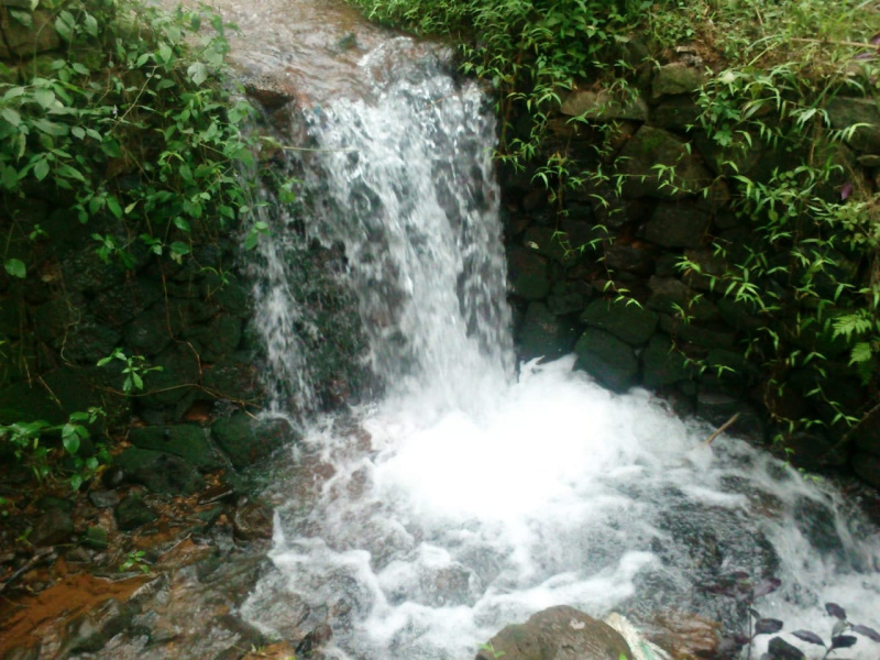  Agricultural Land 5 Acre for Sale in Bandadka, Kasaragod