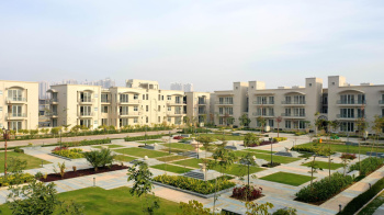  Residential Plot for Sale in Sector 102 Gurgaon