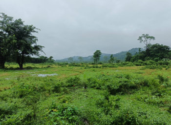  Agricultural Land for Sale in Malbazar, Jalpaiguri