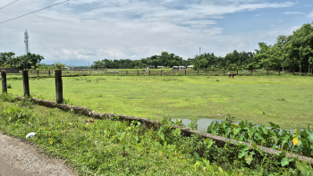  Commercial Land for Sale in Murti, Jalpaiguri