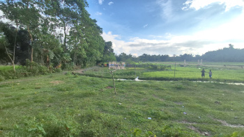  Residential Plot for Sale in Malbazar, Jalpaiguri