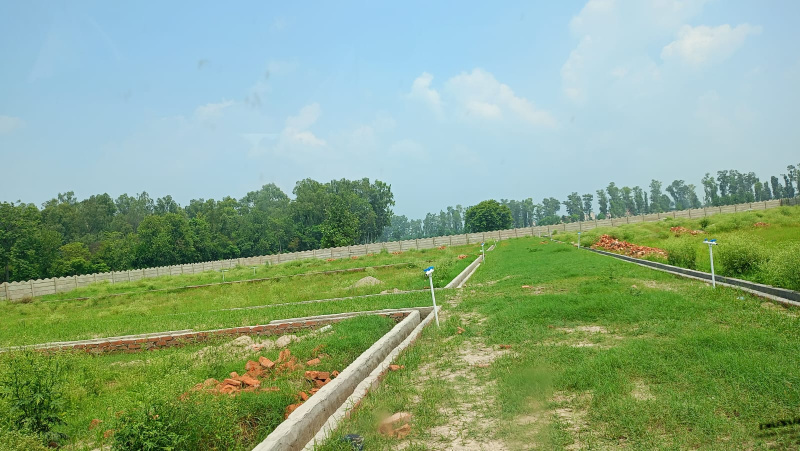  Residential Plot 100 Sq. Yards for Sale in Brijghat, Amroha