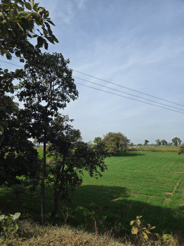  Agricultural Land for Sale in Bicholi Mardana, Indore