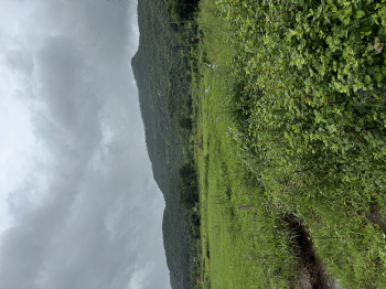  Agricultural Land for Sale in Karjat, Mumbai