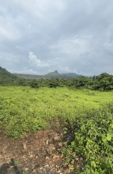  Agricultural Land for Sale in Karjat, Mumbai