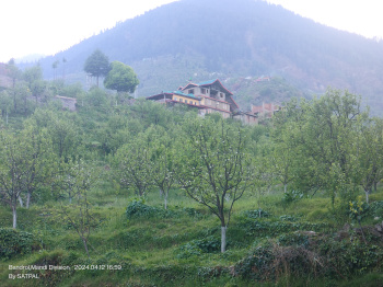  Agricultural Land for Rent in Banjar, Kullu