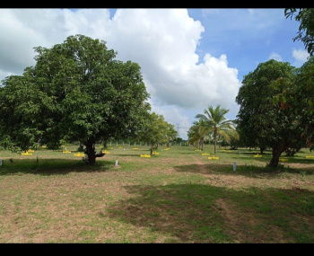  Residential Plot for Sale in Vengathur, Thiruvallur