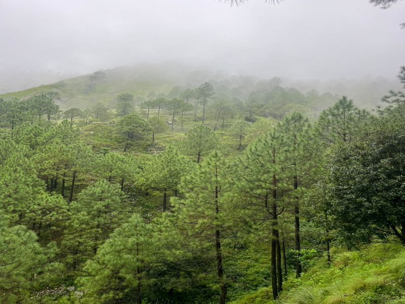  200 Sq. Yards Residential Plot for Sale in Lansdowne, Pauri Garhwal
