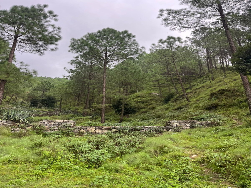  200 Sq. Yards Residential Plot for Sale in Lansdowne, Pauri Garhwal