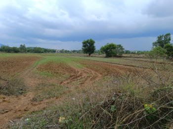  Agricultural Land for Sale in Tangi, Khordha