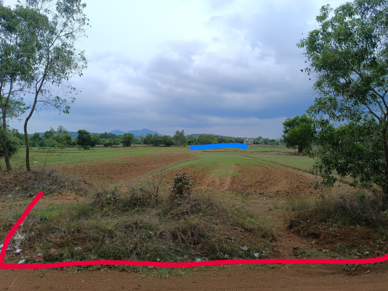  Agricultural Land 6 Guntha for Sale in Tangi, Khordha