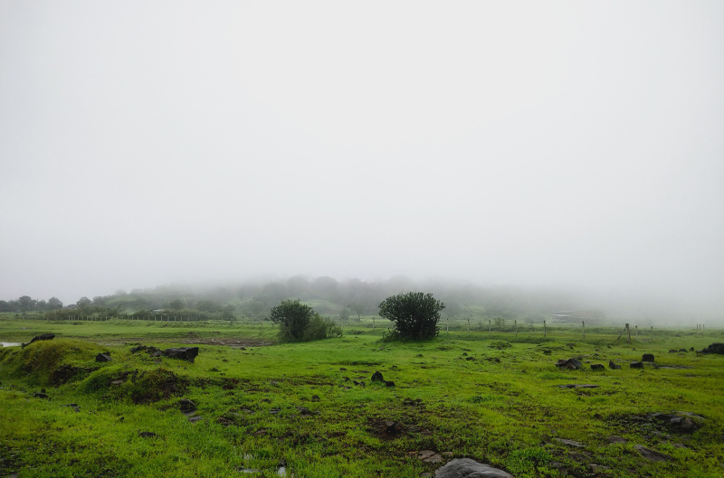  Residential Plot 2228 Sq.ft. for Sale in Igatpuri, Nashik