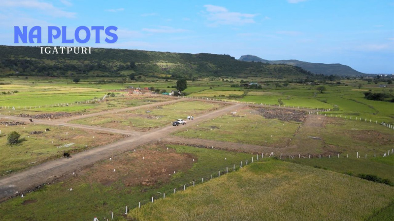  Residential Plot 1550 Sq.ft. for Sale in Igatpuri, Nashik