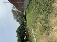  Agricultural Land for Sale in Atrauli, Aligarh