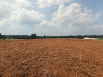  Residential Plot for Sale in Kinathukadavu, Coimbatore