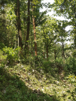  Agricultural Land for Sale in Sirumugai, Coimbatore