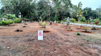  Agricultural Land for Sale in Murbad, Thane