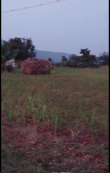  Agricultural Land for Sale in Kadavur, Karur