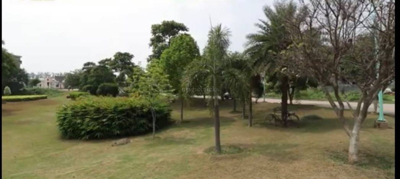  Residential Plot 105 Sq. Yards for Sale in Patiala Road, Zirakpur