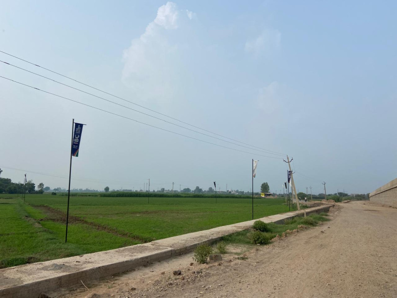  Industrial Land 500 Sq. Yards for Sale in Banur, Mohali