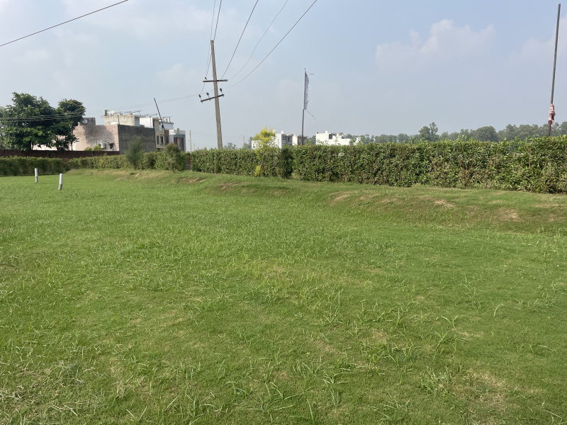  90 Sq. Yards Residential Plot for Sale in Dayalpura, Zirakpur