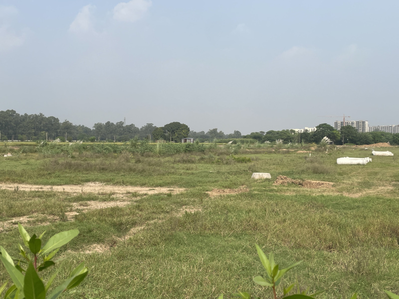 90 Sq. Yards Residential Plot for Sale in Dayalpura, Zirakpur