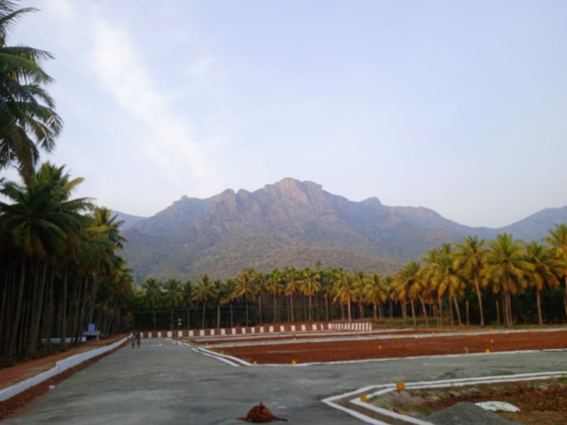  Residential Plot 66000 Sq.ft. for Sale in Senthamangalam, Namakkal