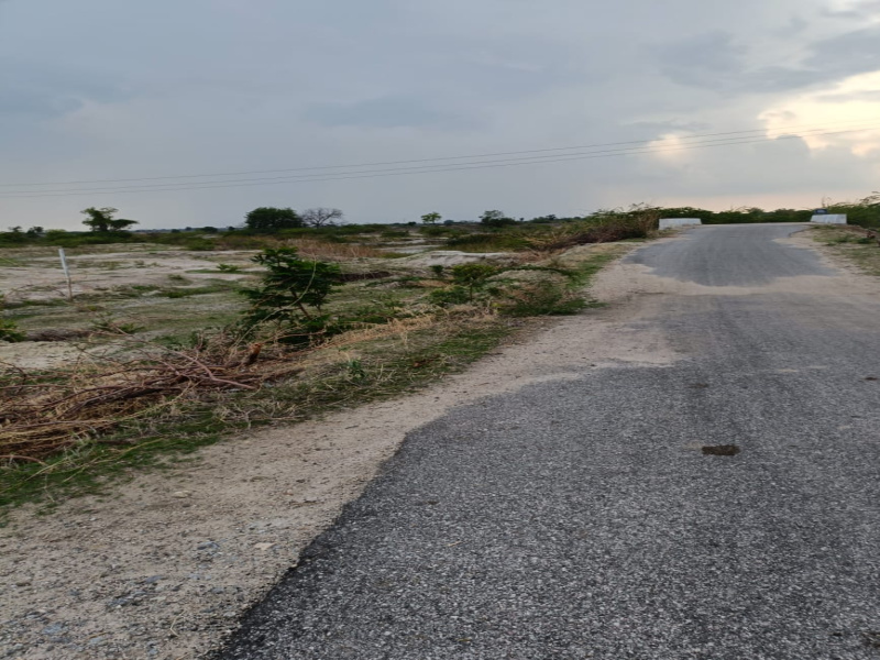  Agricultural Land 11 Acre for Sale in Narayanpet, Mahbubnagar