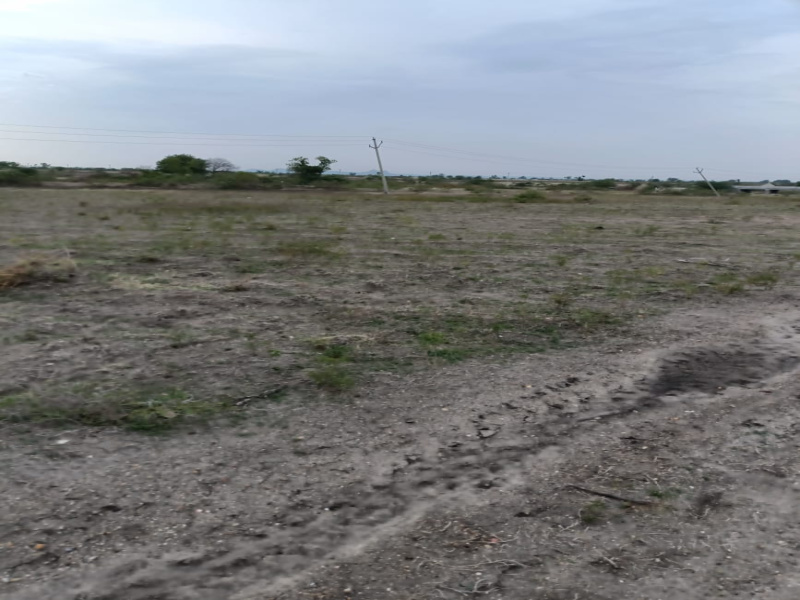  Agricultural Land 11 Acre for Sale in Narayanpet, Mahbubnagar