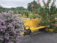 3 BHK Farm House for Sale in Kinathukadavu, Coimbatore