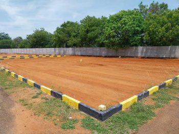  Residential Plot for Sale in Aarchampatti, Tiruchirappalli
