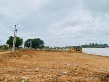  Residential Plot for Sale in Velampalayam, Tirupur