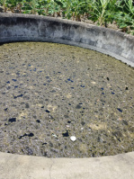  Agricultural Land for Sale in Thirukarungudi, Tirunelveli