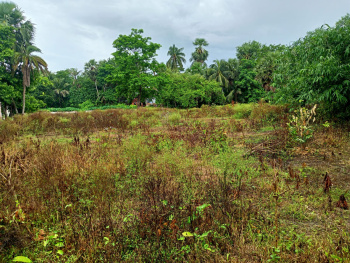  Residential Plot for Sale in Bagnan, Howrah