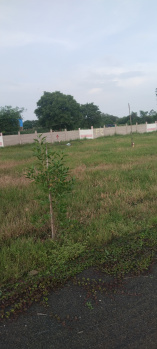  Agricultural Land for Sale in Bairagarh, Bhopal