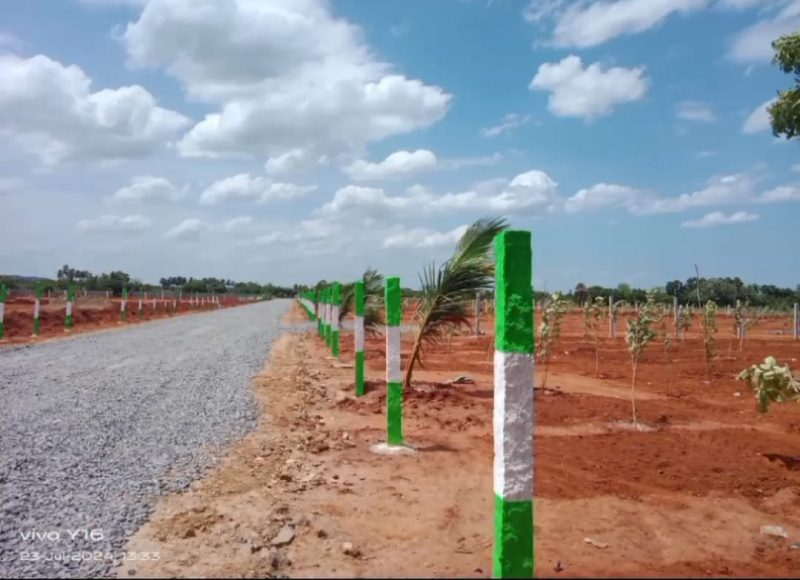  Agricultural Land 9600 Sq.ft. for Sale in Edaikazhinadu, Kanchipuram