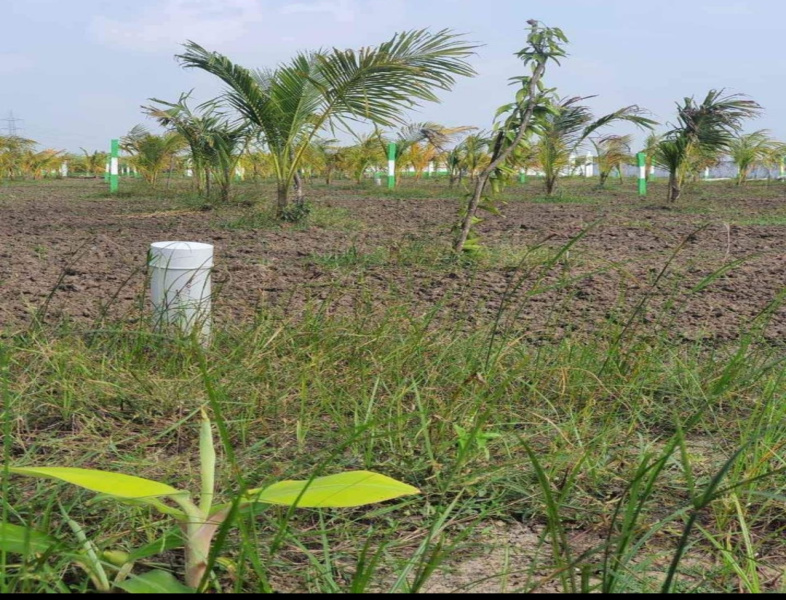  Agricultural Land 9600 Sq.ft. for Sale in Thirukalikundram, Chennai