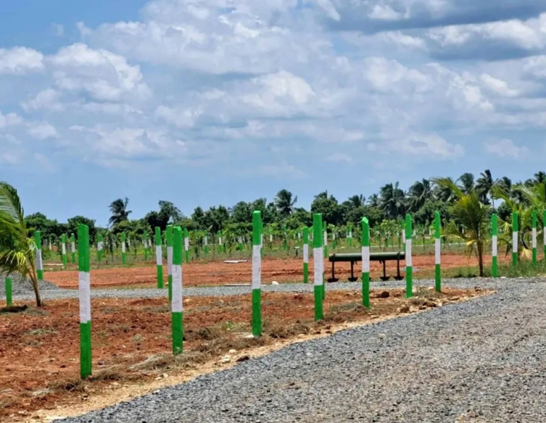  Agricultural Land 9600 Sq.ft. for Sale in Chengalpet, Chennai